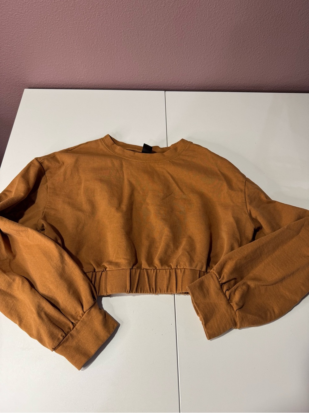 Women's Cropped Sweatshirt in Rust